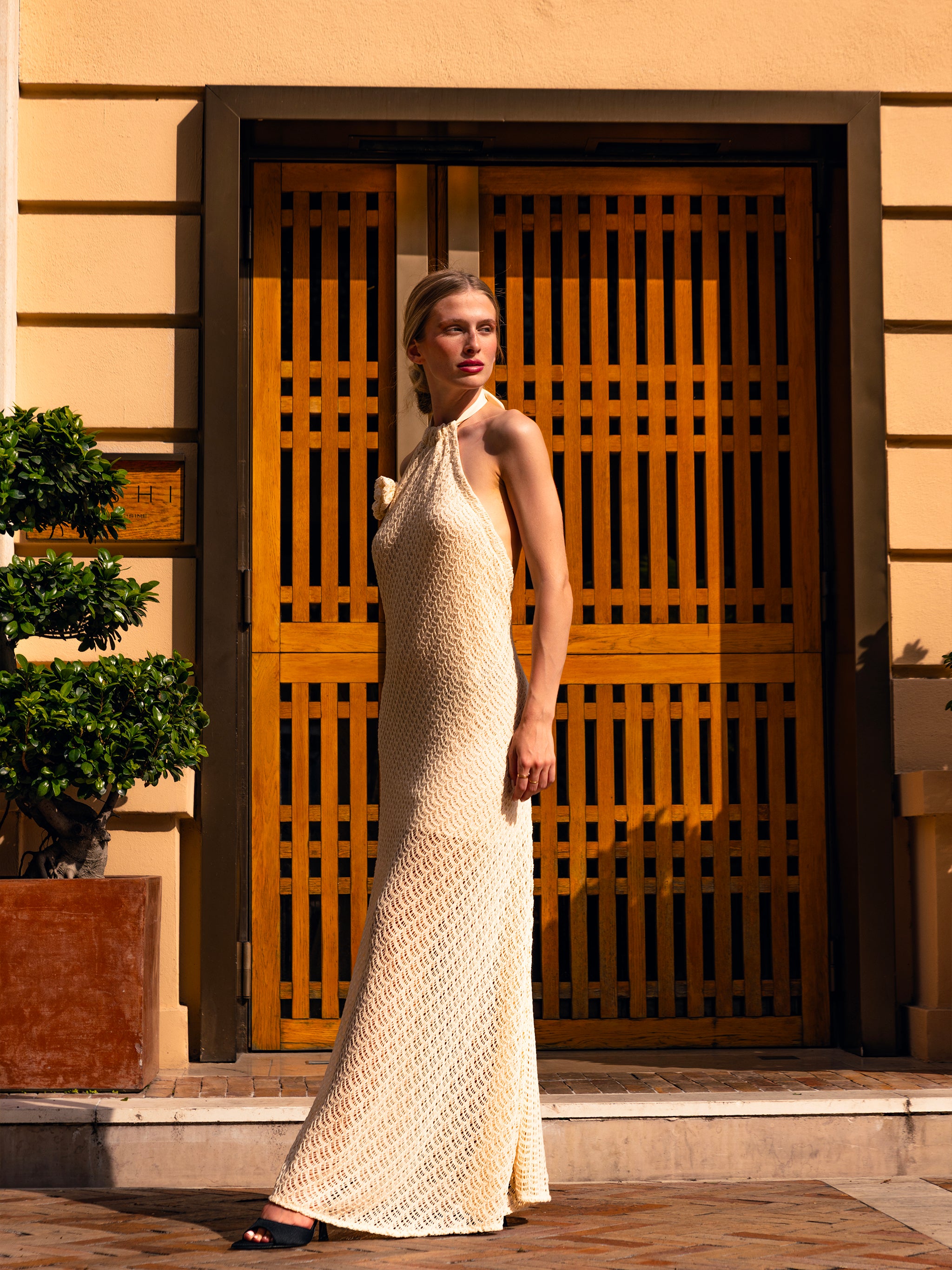 Open Back Dress